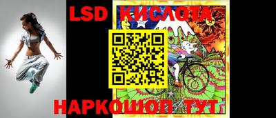 гидра Кандалакша