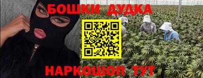 гидра Кандалакша