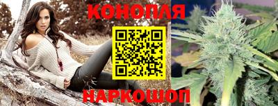 гидра Кандалакша